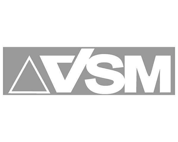 VSM VSM